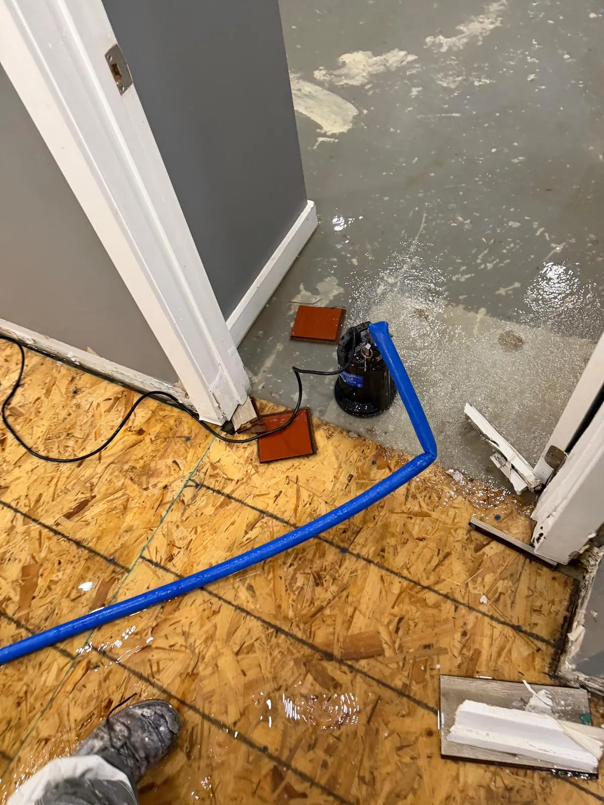 Submersible pump sitting in standing water on a basement floor with a blue discharge hose running out through a doorway